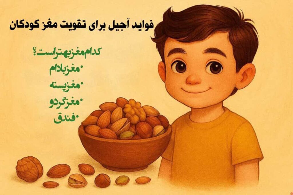 فوابد آجیل برای تقویت مغز کودکان