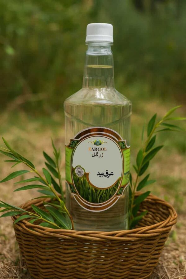 عرق بید
